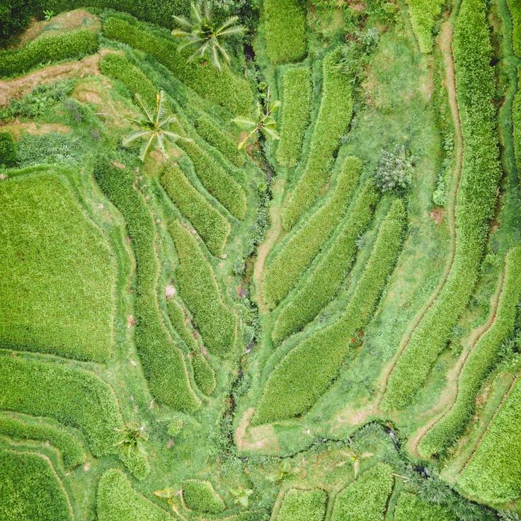 Kids playground area in Germany